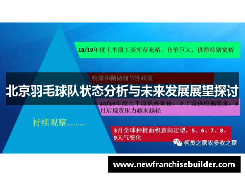 北京羽毛球队状态分析与未来发展展望探讨